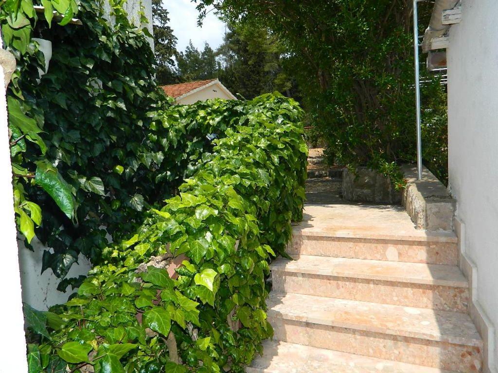 Apartments And Rooms Darinka Vrboska Exterior photo